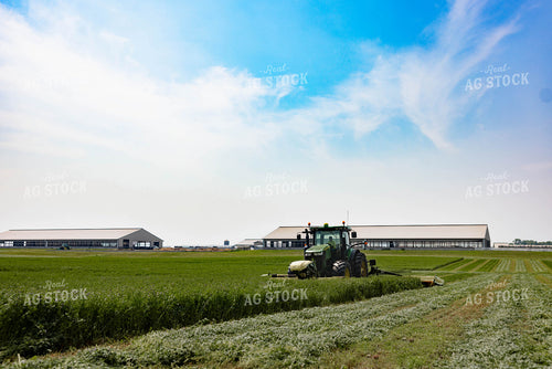 Cutting Hay 152001