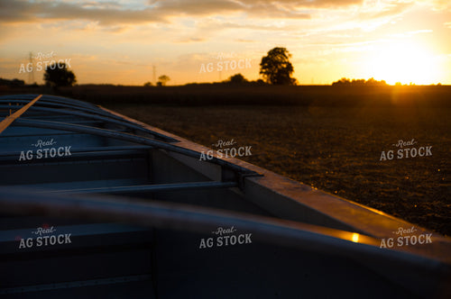 Laying Field Tile 103042