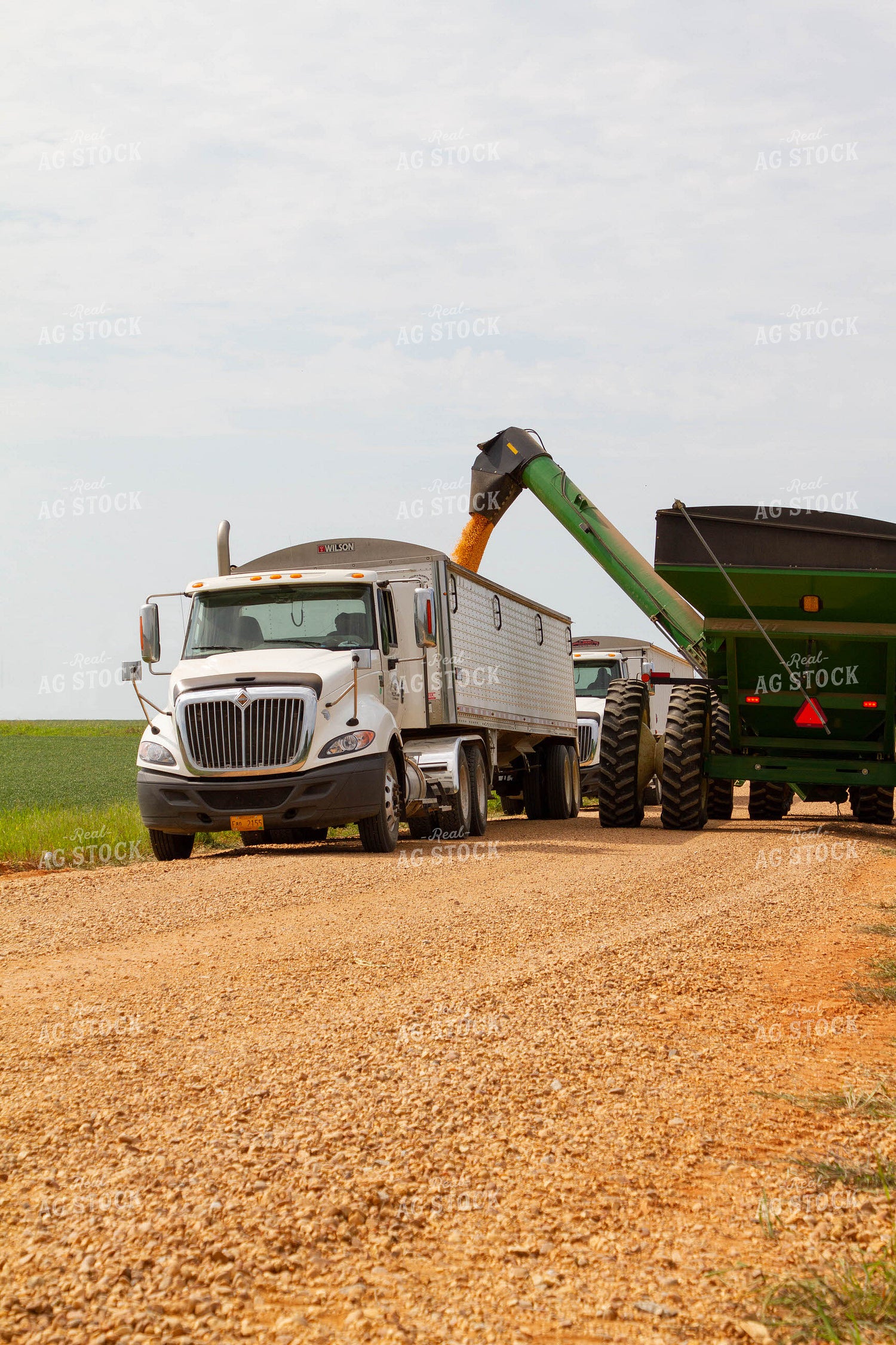 Grain Cart Filling Semi 79139