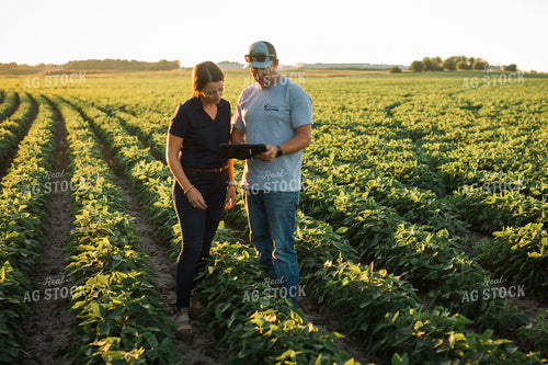 Agronomist and Farmer in Soybean Field Looking at Tablet 6109