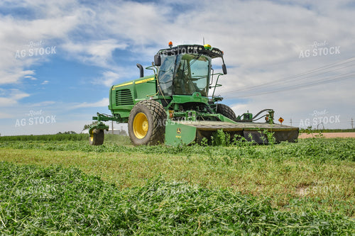 Alfalfa Field 56085