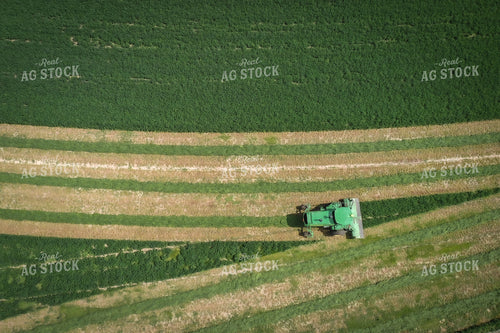 Cutting Alfalfa Hay 56019