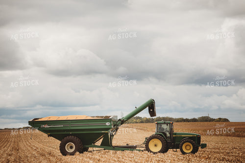 Auger Wagon Grain Cart Full in Corn Field 3349