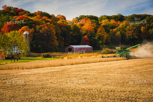 Soybean Harvest 153026