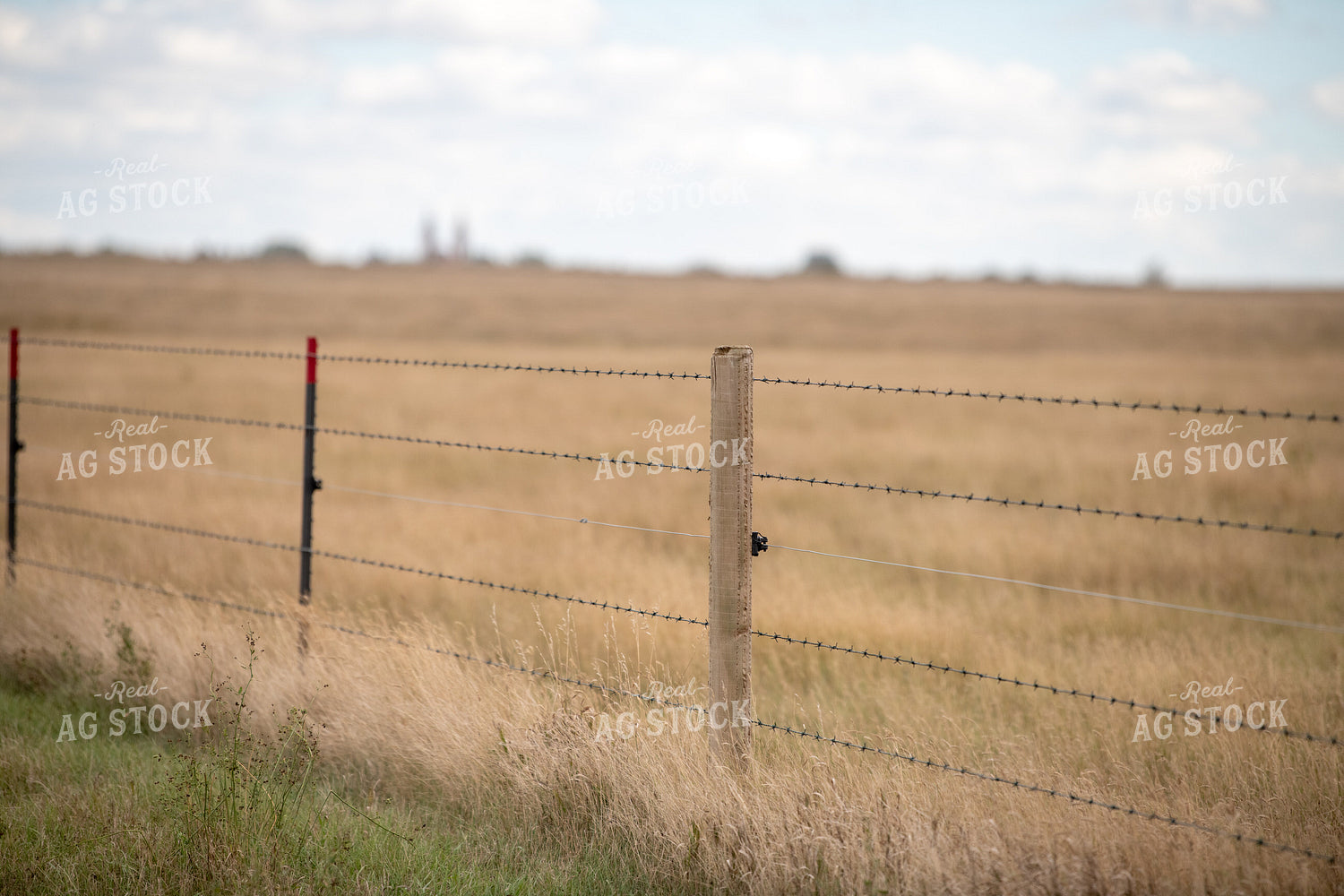 Barbed Wire Fence 212075