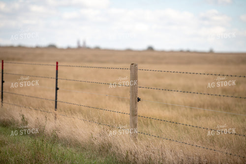 Barbed Wire Fence 212075