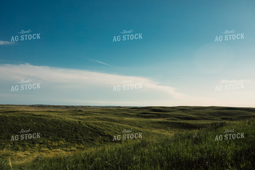 Sand Hills Pasture 53038