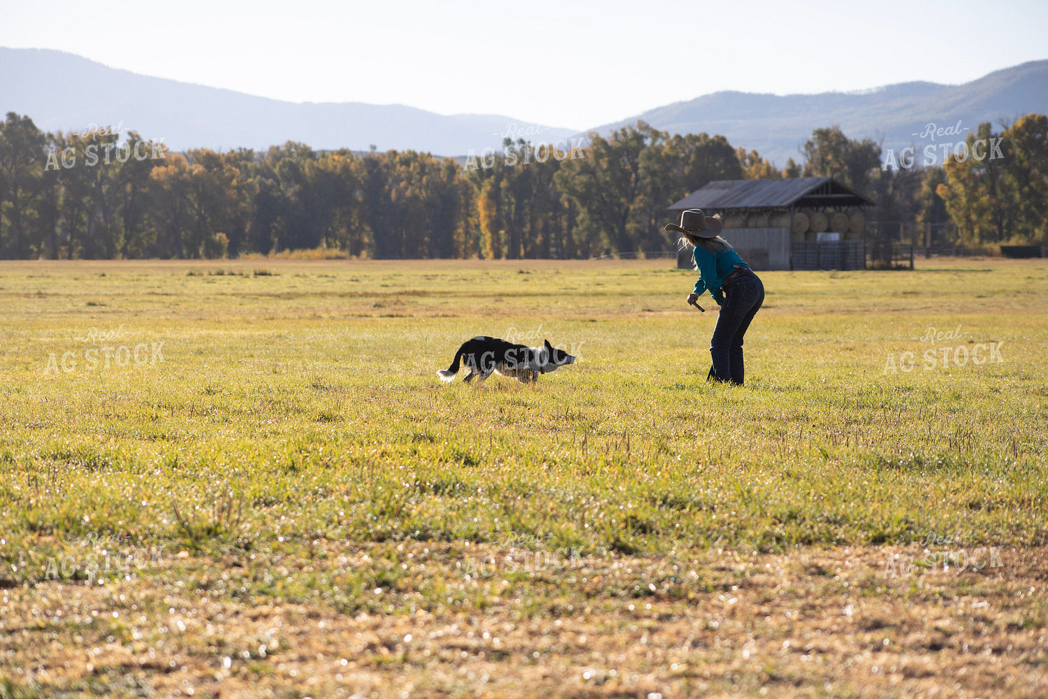 Female Rancher with Ranch Dog 117115