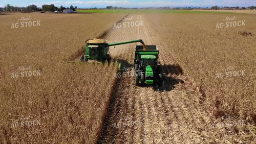 Harvesting Corn Drone 56312