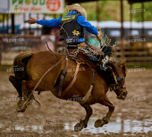 Rodeo 177042