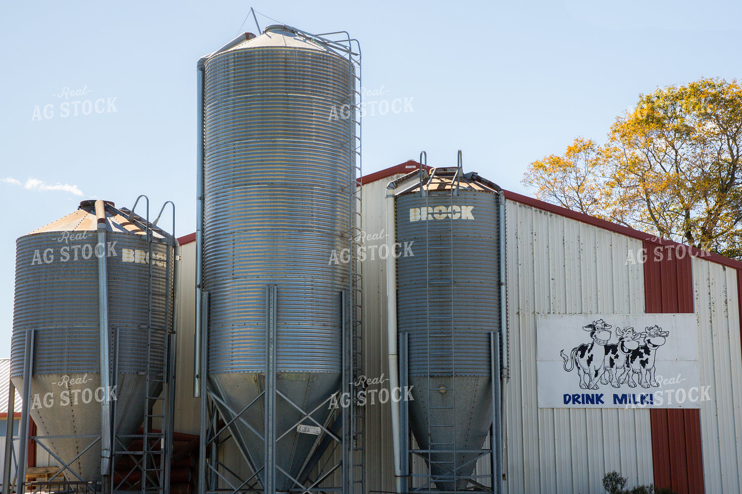 Gravity Feeders 142010