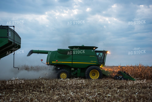 Corn Harvest 129066