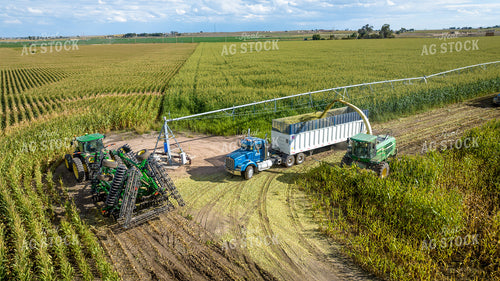 Silage Harvest 56533