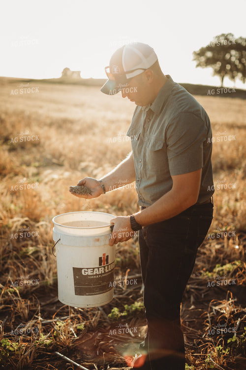 Farmer Agronomist Holding Rye Seed in Hand 5862