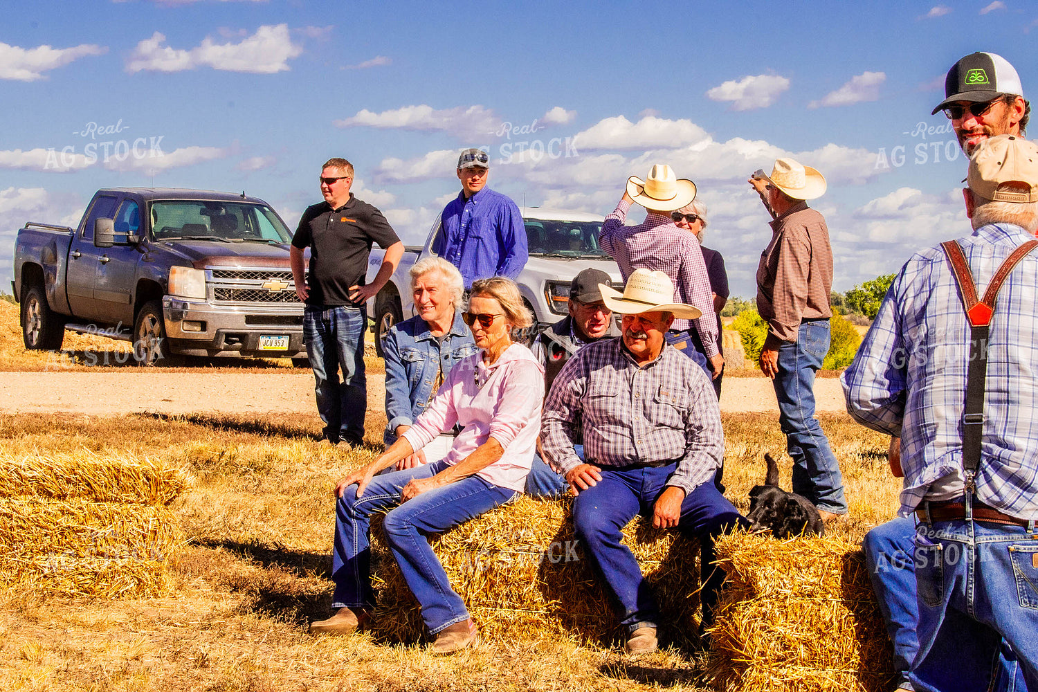 Ranchers at Sale 299059