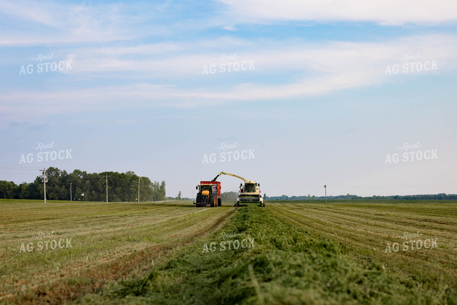 Chopping Silage 152006