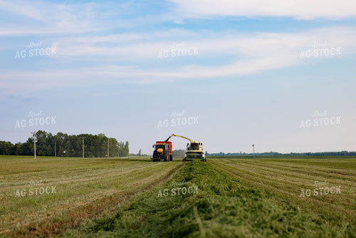 Chopping Silage 152006