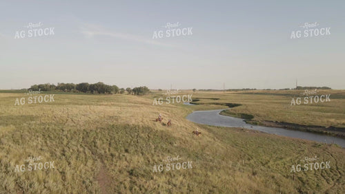 Ranchers on Horseback in Pasture Drone 6533