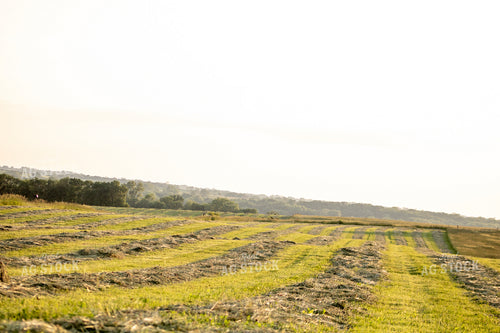 Scenic Hay Field 214244