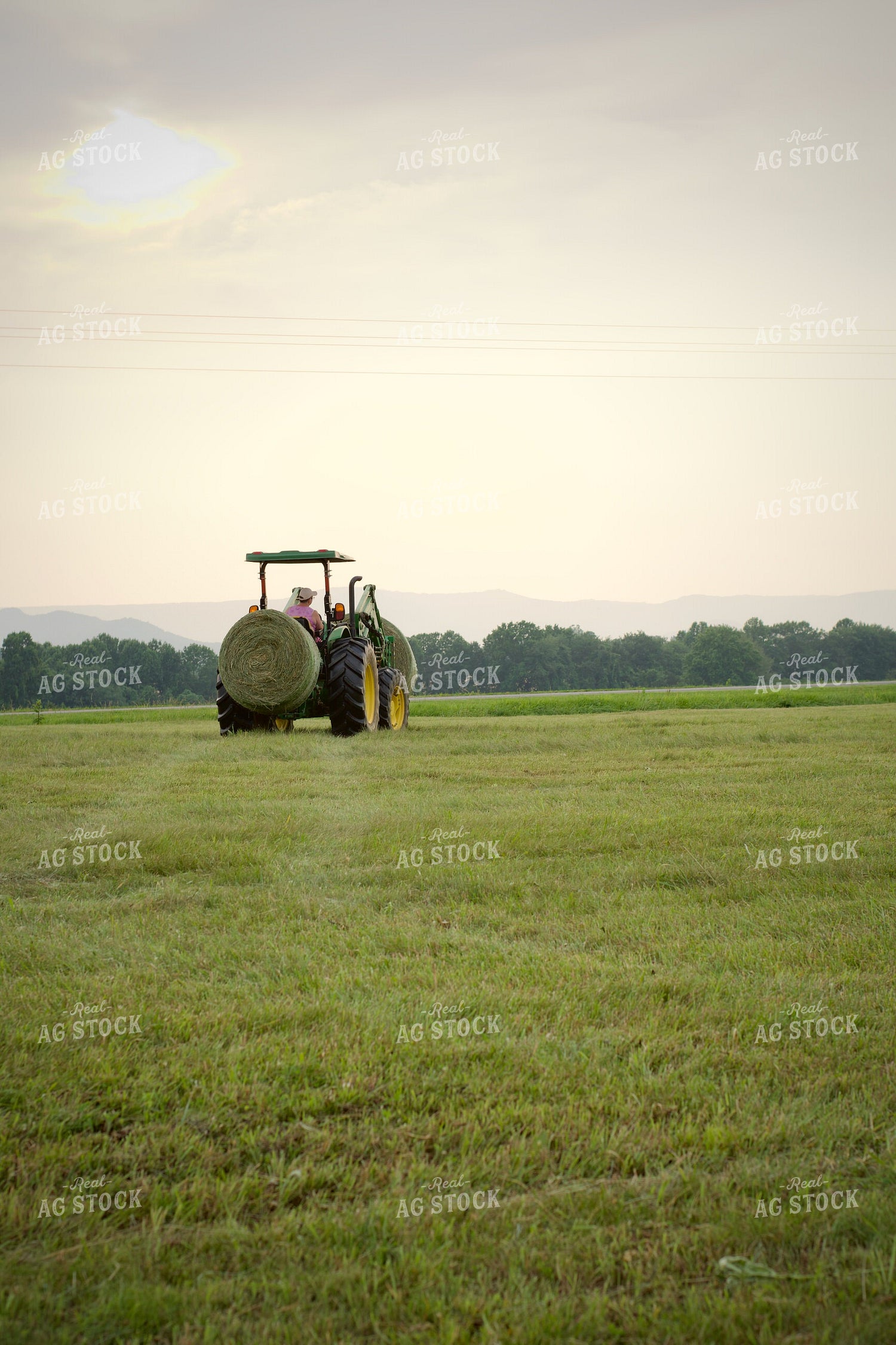 Putting Up Hay 251170