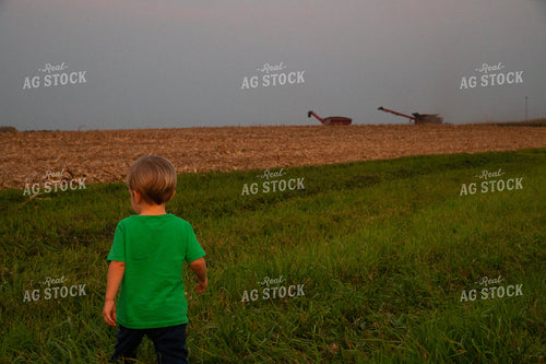 Farm Kid Waiting to Ride in the Combine 25482