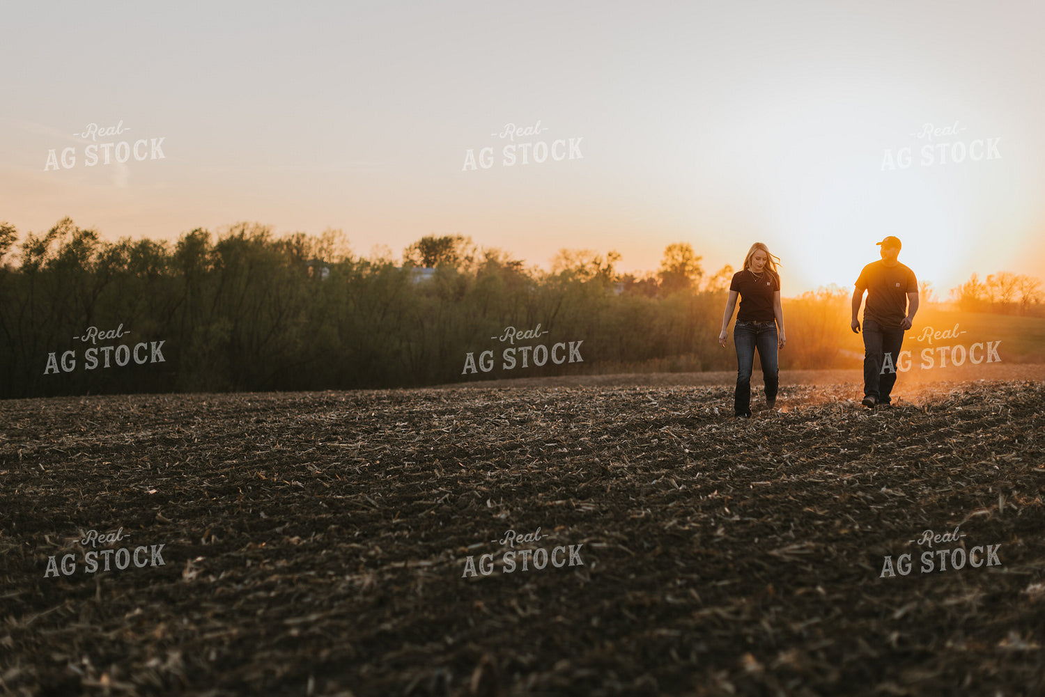 Young Couple Walk in Field at Sunset 7724