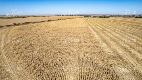 Aerial of Downed Cornfield 65128
