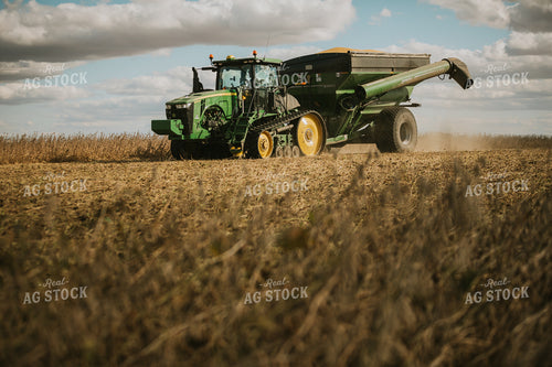 Soybean Harvest 6864
