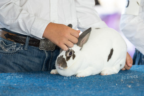 Showing Rabbits 269001