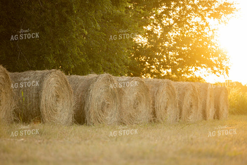 Hay Bale 143024