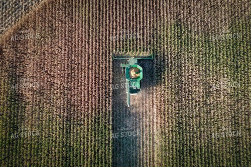 High Moisture Shell Corn Harvest Drone 56173