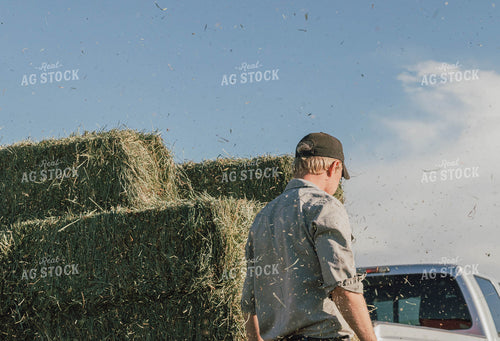 Farmer Racking Square Bales 61073
