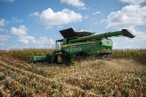 Corn Harvest 149143