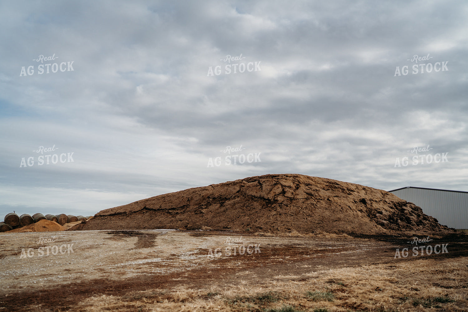 Uncovered Silage Pile 196179