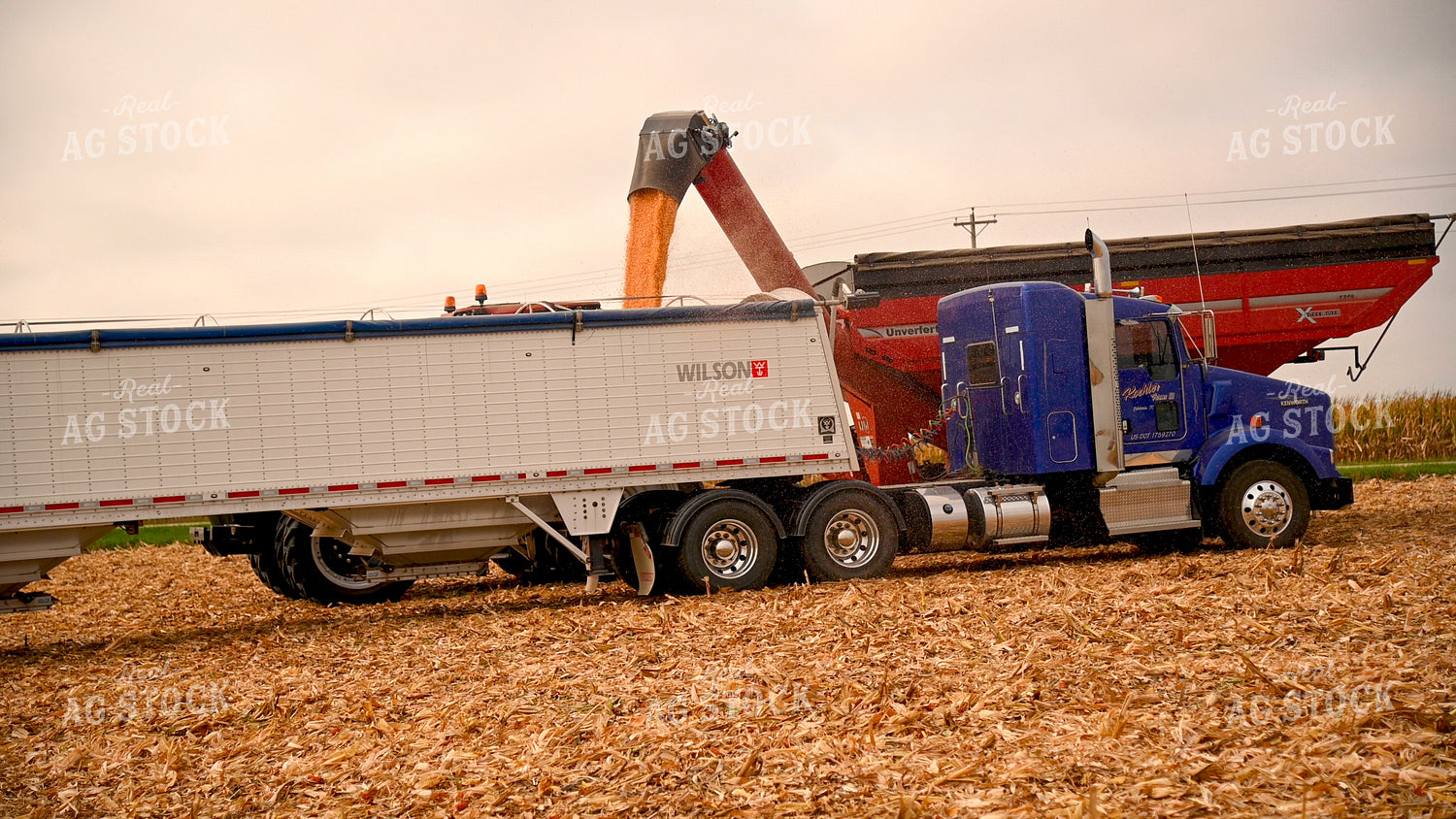Grain Cart Unloading into Semi 25594
