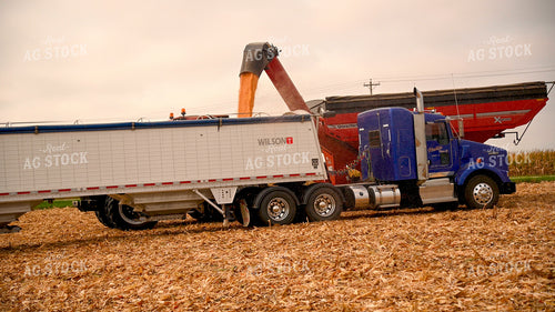 Grain Cart Unloading into Semi 25594
