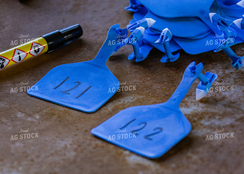 Ear Tags 231032