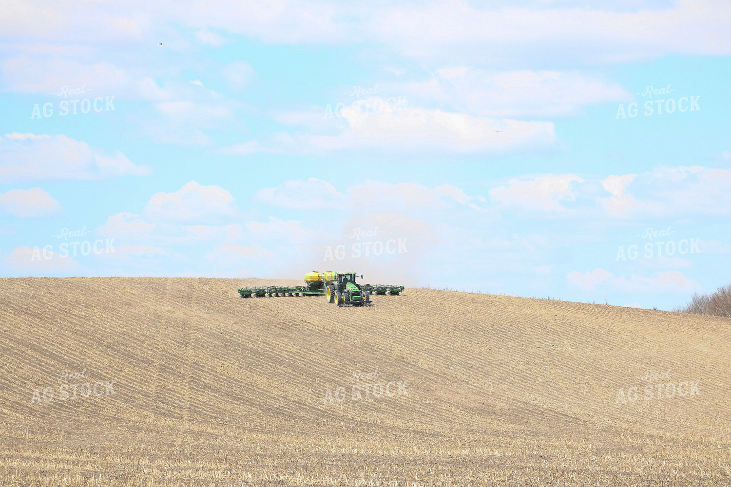 Planting in No Till Field 82389