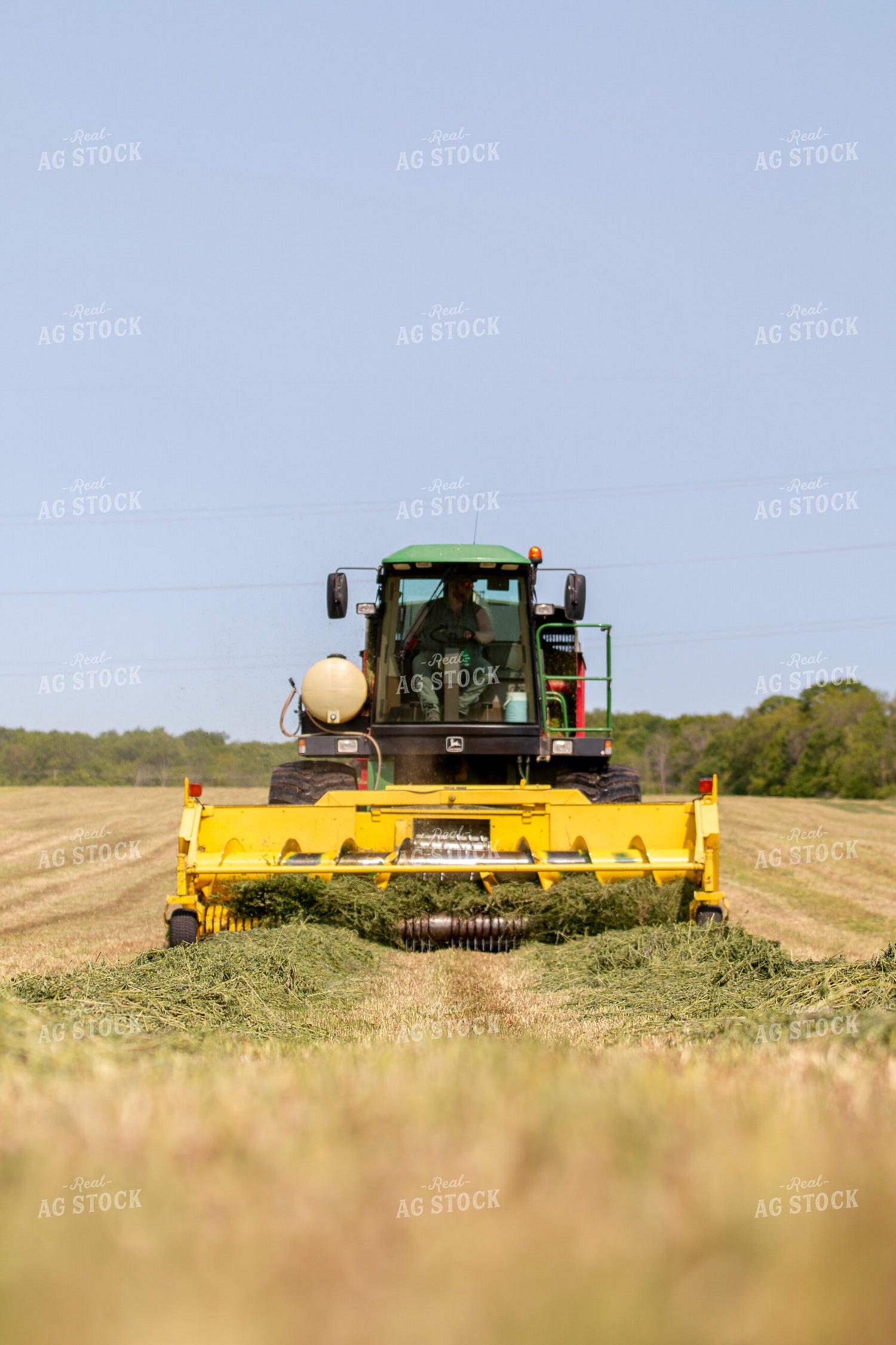 Self-Propelled Forage Harvester 157335