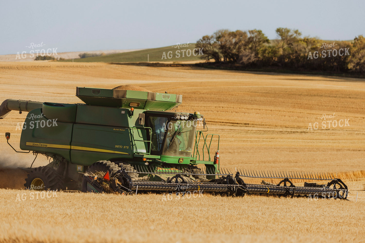 Wheat Harvest 187297