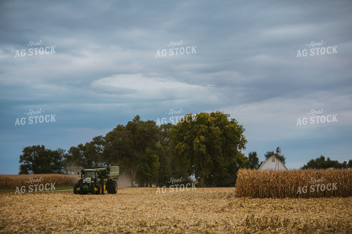 Corn Harvest 6699