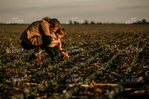 Farmer 2926