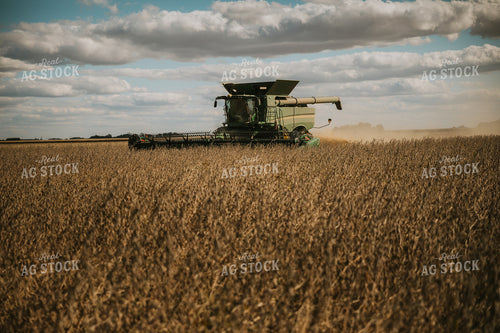 Soybean Harvest 6888