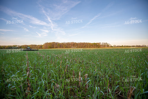 Seeding Cover Crops 168003
