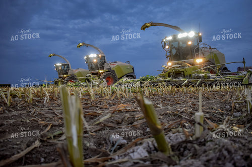 Silage Harvesters 56216