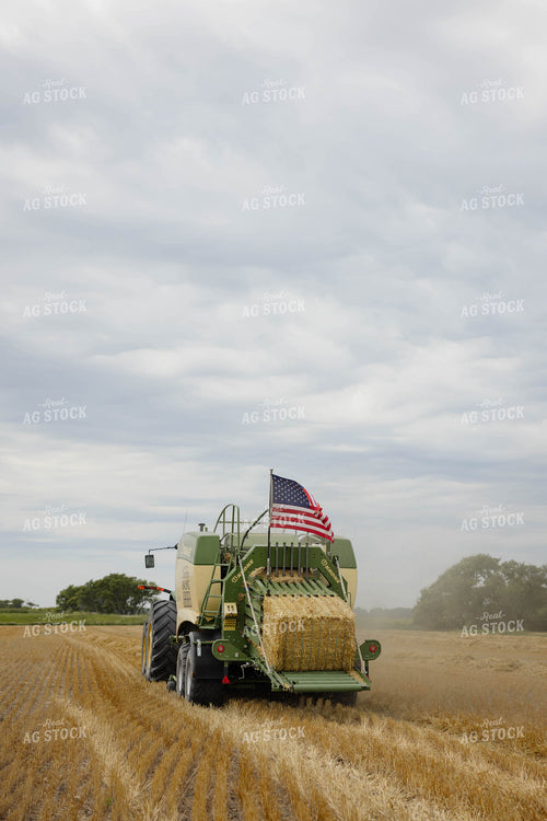 Baling Wheat Straw 296032