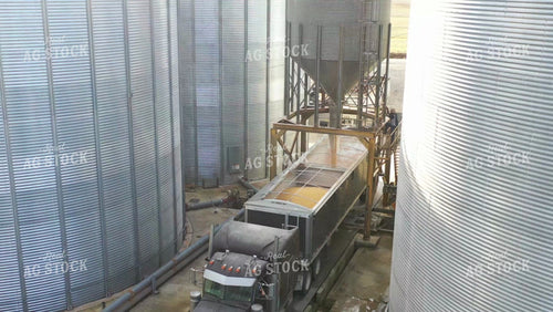 Aerial of Loading Out Truck with Corn 79209