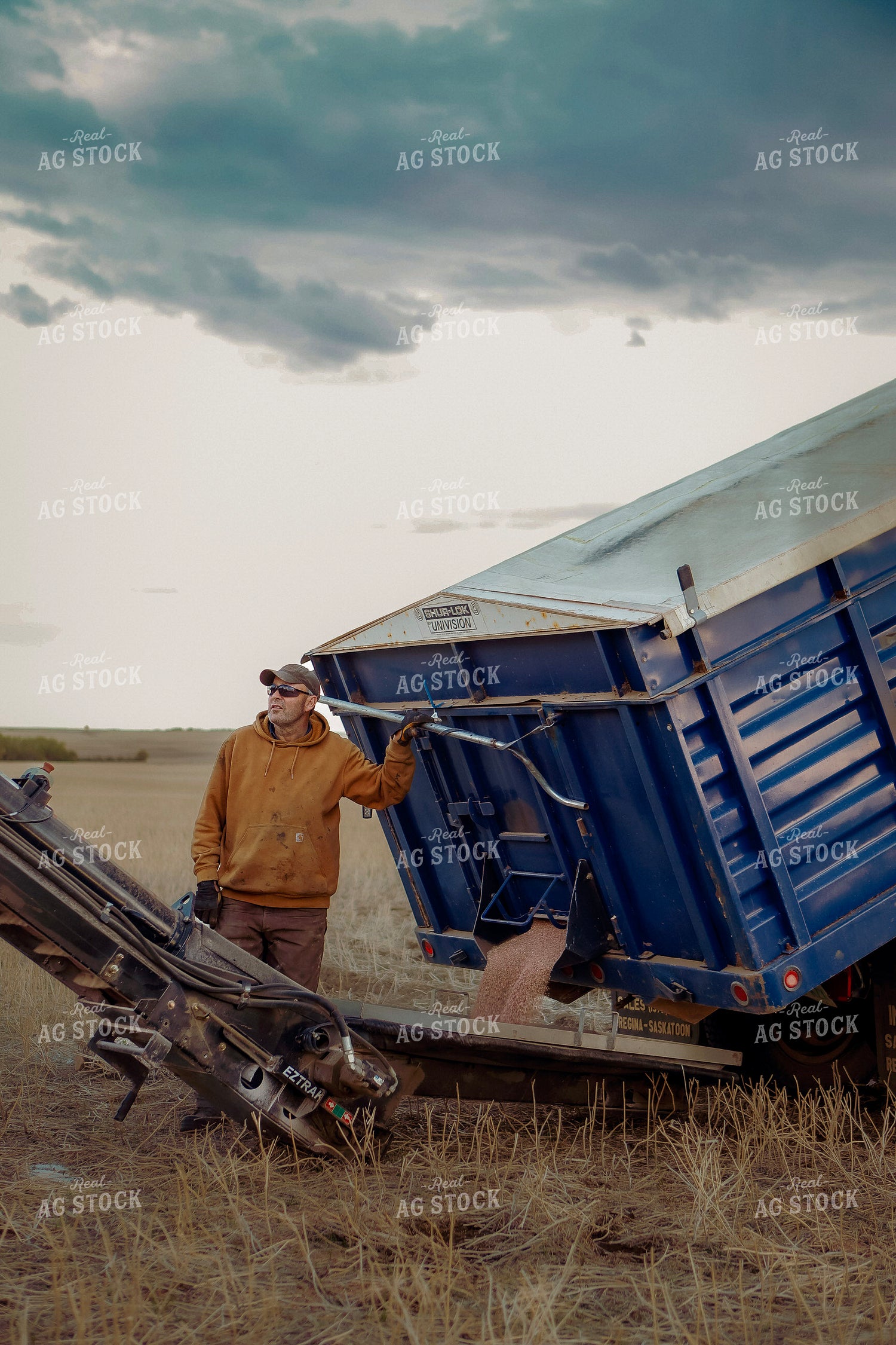 Farmer Unloading Grain 187336