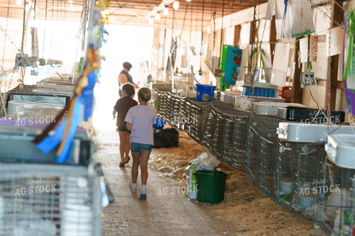 Show Barn 52936