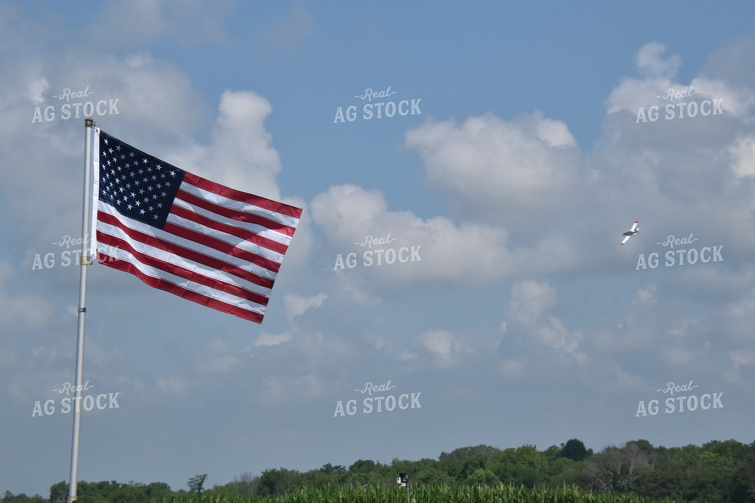 Crop Duster in Sky with American Flag 84107